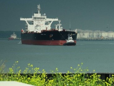 20220407_EK_Deltalinqs ontevreden over stikstofbeleid_klein.JPG