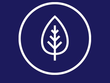 Milieu