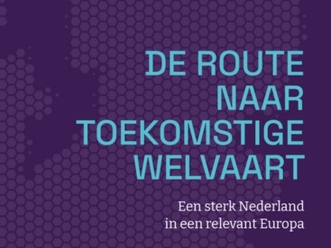 Rapport Wennink_klein