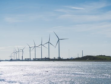 Wind farm Maasvlakte_klein