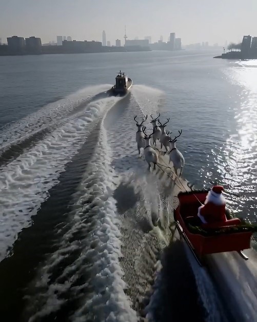 Kerst- en nieuwjaarswens 2025.jpg